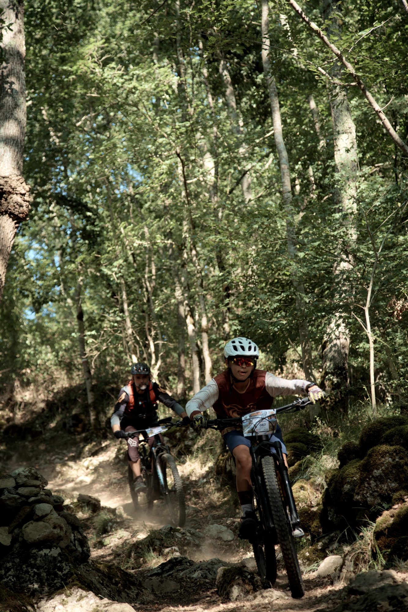 0S3A6206